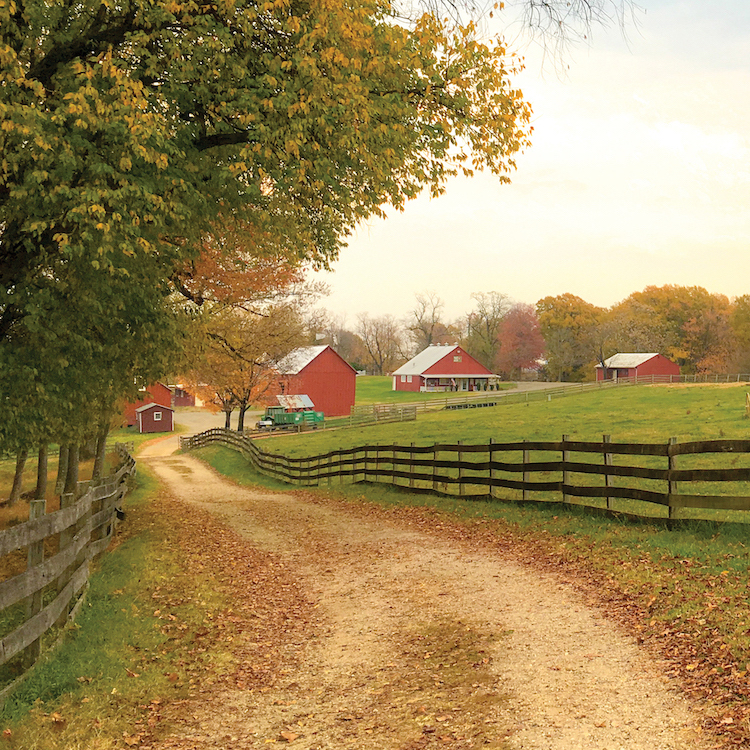 N.C. lawsuits show Ga. needs stronger Right to Farm law